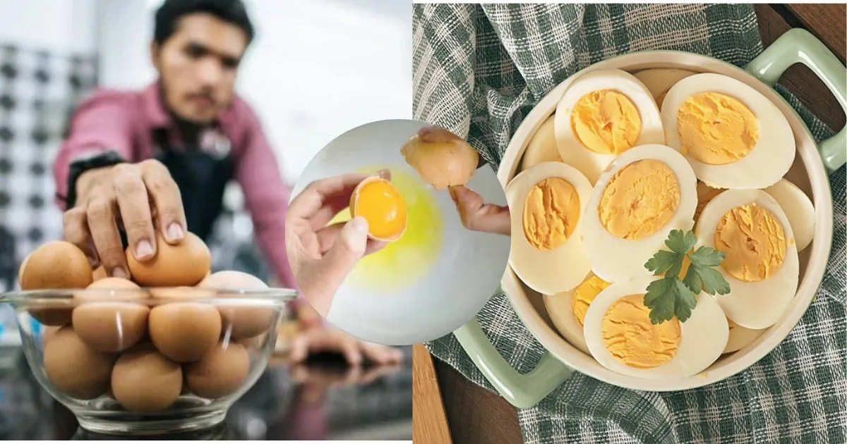 eating 1-2 eggs daily is safe and highly nutritious for most adults
