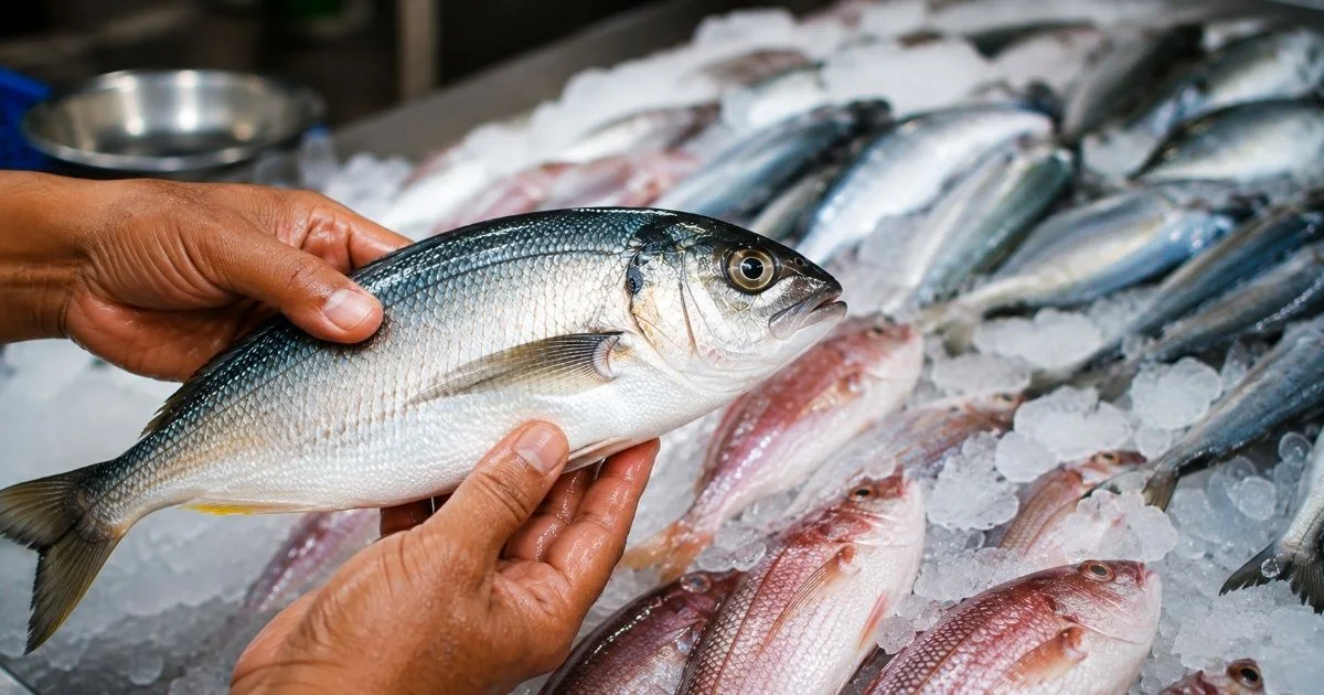 fresh-fish-buying-guide-kerala-quality-check