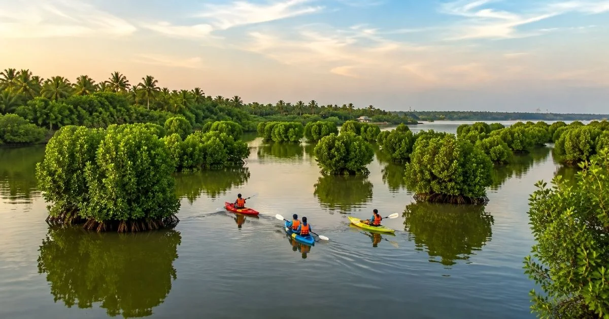 kavvayi-backwaters-kannur-kayaking-malayalam