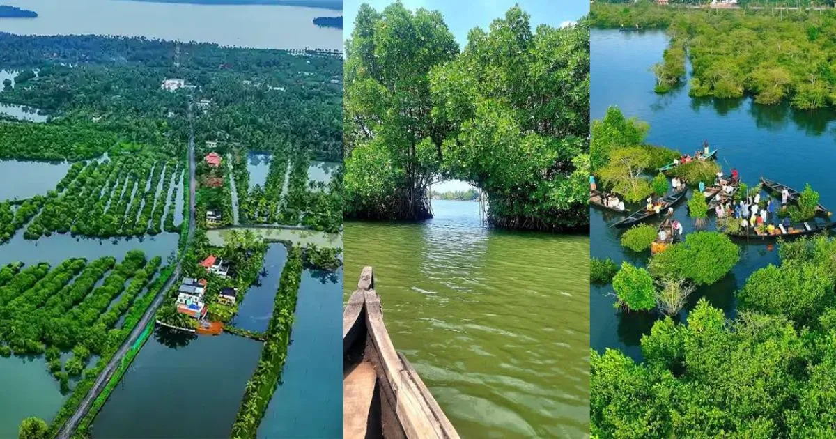 munroe-island-kerala-sinking-beauty